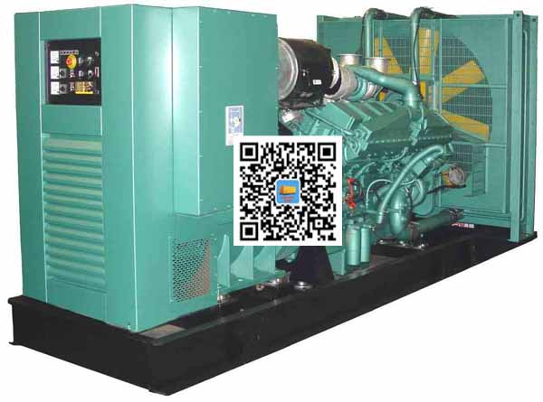 琅琊笼型异步发电机的电力电子控制技术